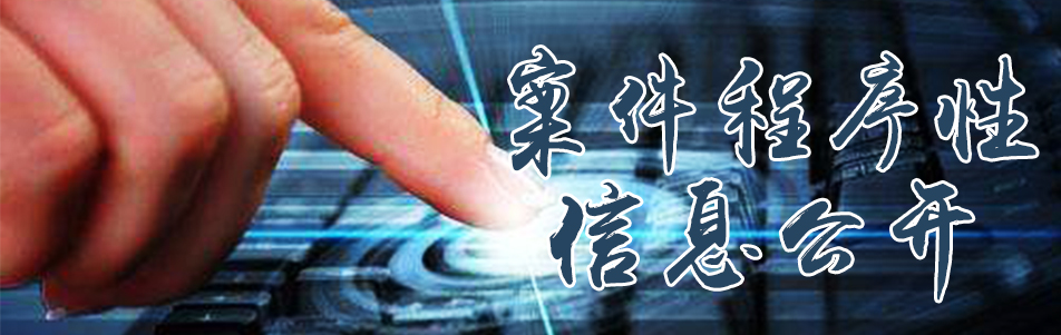 案件程序性信息公開.jpg